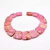 Natural Imperial Jasper Graduated Beads Strands G-P296-A04-3