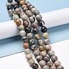 Natural Polychrome Jasper/Picasso Stone/Picasso Jasper Bead Strands G-E571-17B-2