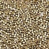 FGB 11/0 Grade A Glass Seed Beads SEED-S030-1207-2