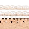 Natural Cultured Freshwater Pearl Beads Strands PEAR-F020-23A-5