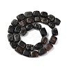 Natural Biotite Beads Strands G-D098-D15-3