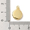 Brass Cubic Zirconia Pendants KK-M278-17G-3