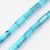 Natural Shell Bead Strands BSHE-P016-M-2