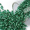 TOHO Round Seed Beads SEED-JPTR11-0024BF-1