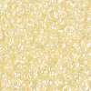 FGB Inside Colours Transparent Glass Seed Beads SEED-T009-01H-2