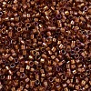 MIYUKI Delica Beads SEED-MY11-DB1736-3
