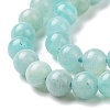 Natural Amazonite Round Beads Strands G-A025-01A-4