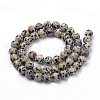 Natural Dalmatian Jasper Beads Strands G-S259-24-12mm-2