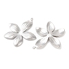 304 Stainless Steel Pendants STAS-A133-02C-P-2