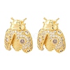 Brass Micro Pave Clear Cubic Zirconia Stud Earrings EJEW-F400-03A-G-2