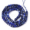 Natural Lapis Lazuli Beads Strands G-R460-038-2