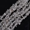 Natural Quartz Crystal Beads Strands G-G011-03-1