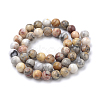 Natural Crazy Lace Agate Round Bead Strands X-G-E334-6mm-20-2