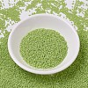 MIYUKI Delica Beads SEED-JP0008-DB0733-2