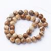 Gemstone Beads Strands GSR016-3