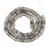 Natural Labradorite Beads Strands G-F631-A38-3
