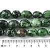 Natural Ruby in Zoisite Beads Strands G-G117-A02-02-5