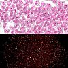 Luminous Glass Seed Beads SEED-A033-07J-1