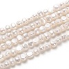 Natural Cultured Freshwater Pearl Beads Strands PEAR-N014-04B-1
