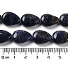 Natural Sodalite Beads Strands G-L242-19-5