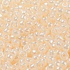 TOHO Round Seed Beads SEED-TR08-0147-2