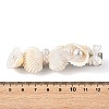 Natural Shell Alligator Hair Clips PHAR-TA000009-4