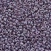 Glass Seed Beads SEED-A011-2mm-148-2