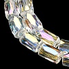 Transparent Glass Beads Strands EGLA-P052-03B-02-3