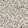 MIYUKI Delica Beads SEED-X0054-DB0883-3