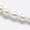 Natural Cultured Freshwater Pearl Beads Strands PEAR-K003-23D-01-3