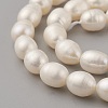Natural Cultured Freshwater Pearl Beads Strands PEAR-G007-23-3