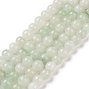 Natural Green Aventurine Beads Strands G-Q462-8mm-20B-5