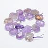 Natural Ametrine Beads Strands G-P322-08H-2