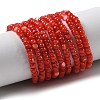 Natural Freshwater Shell Beads Strands SHEL-P017-01B-07-1