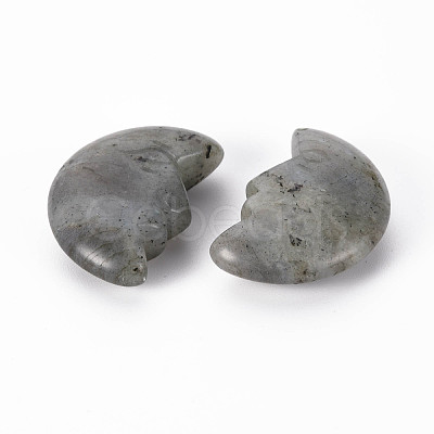 Natural Labradorite Beads G-T132-030-1