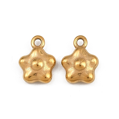 304 Stainless Steel Charms STAS-A120-18G-1