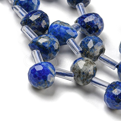 Natural Lapis Lazuli Beads Strands G-H297-B02-02-1