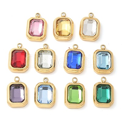 304 Stainless Steel Charms STAS-Q345-49G-1