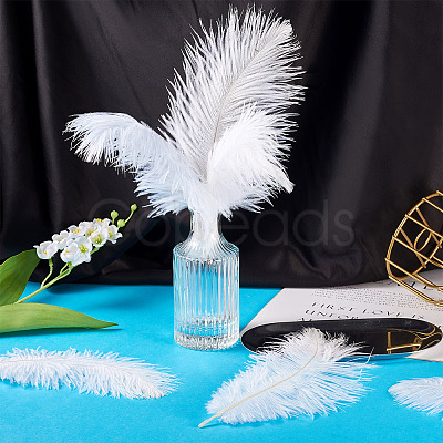 20Pcs 2 Styles Ostrich Feather Costume Accessories FIND-TA0005-96-1