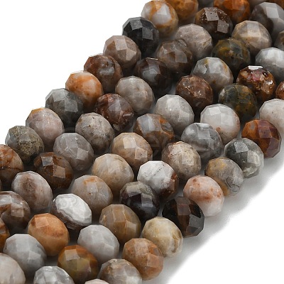 Natural Gobi Agate Beads Strands G-Z111-A55-1