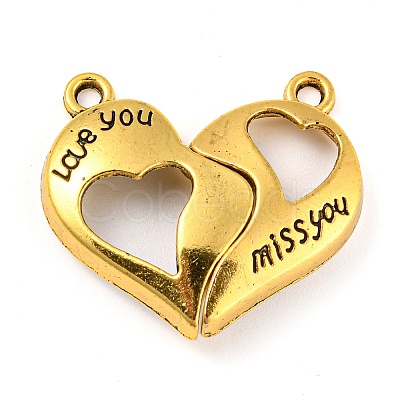 Alloy Magnetic Pendants PALLOY-Z020-05AG-1