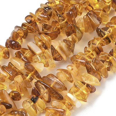 Natural Amber Beads Strands G-L095-D01-01-1