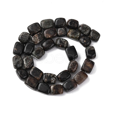 Natural Biotite Beads Strands G-D098-D15-1