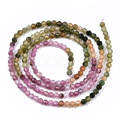 Gradient Style Natural Multicolor Tourmaline Strands G-S362-075-1