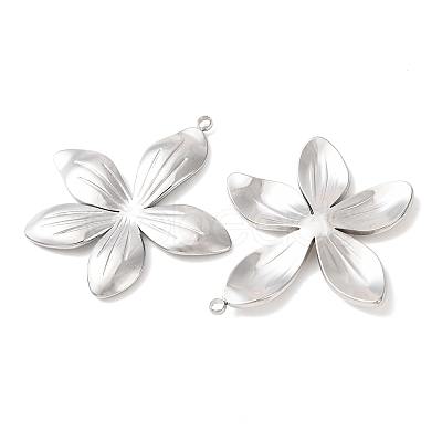 304 Stainless Steel Pendants STAS-A133-02C-P-1