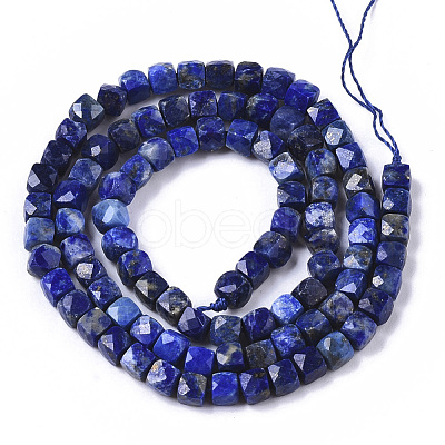 Natural Lapis Lazuli Beads Strands G-R460-038-1