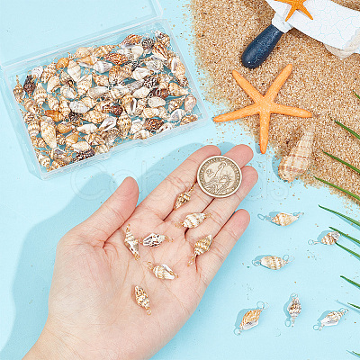 100Pcs 2 Colors Natural Shell Connector Charms PALLOY-AB00235-1