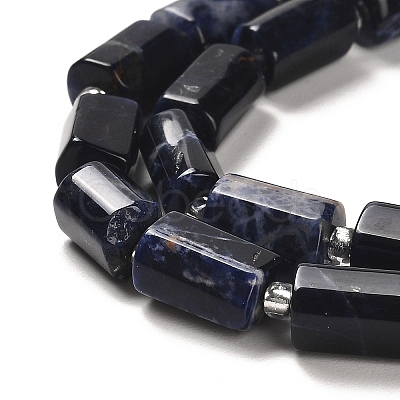 Natural Sodalite Beads Strands G-N327-06-28-1
