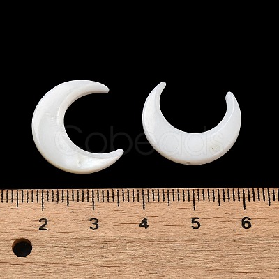 Natural Freshwater Shell Beads SHEL-H003-05-1