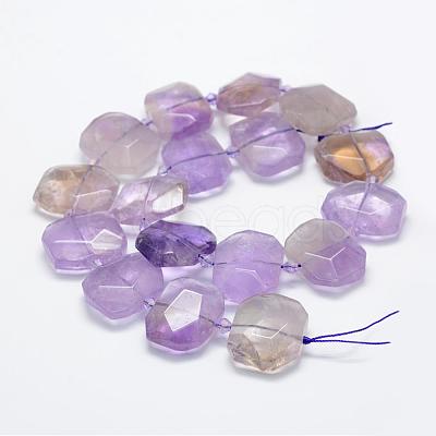 Natural Ametrine Beads Strands G-P322-08H-1